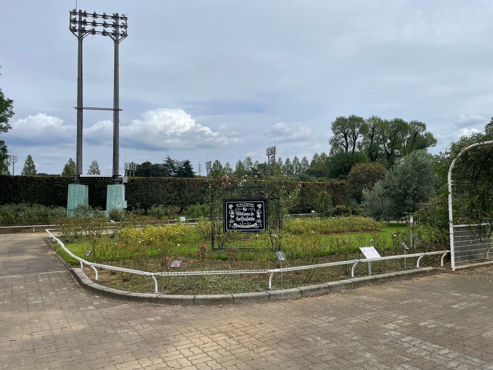 バラ園（町制施行記念公園） | バラのまち埼玉県伊奈町公式