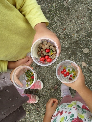 園庭に落ちていたはなみずきの実やえごの実をカップに集めた。