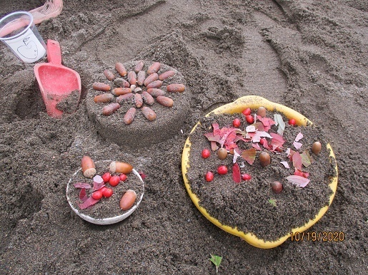 砂で作ったどんぐりケーキや木の実ご飯ができた。