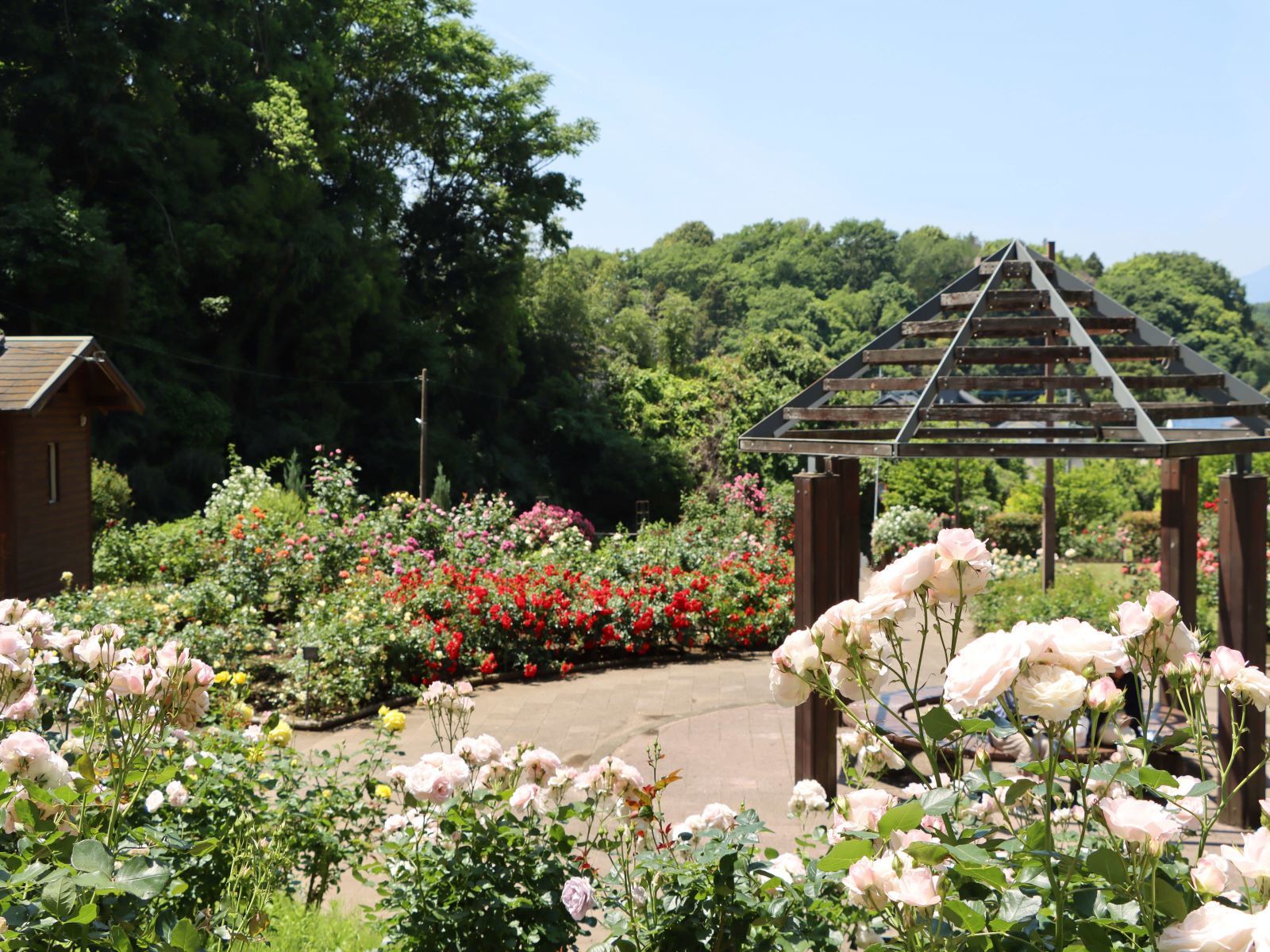 城山公園　花木園