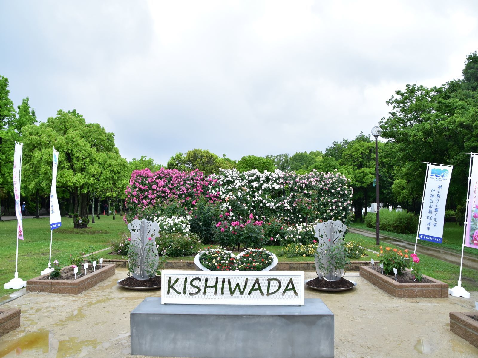 まなび中央公園ばら園