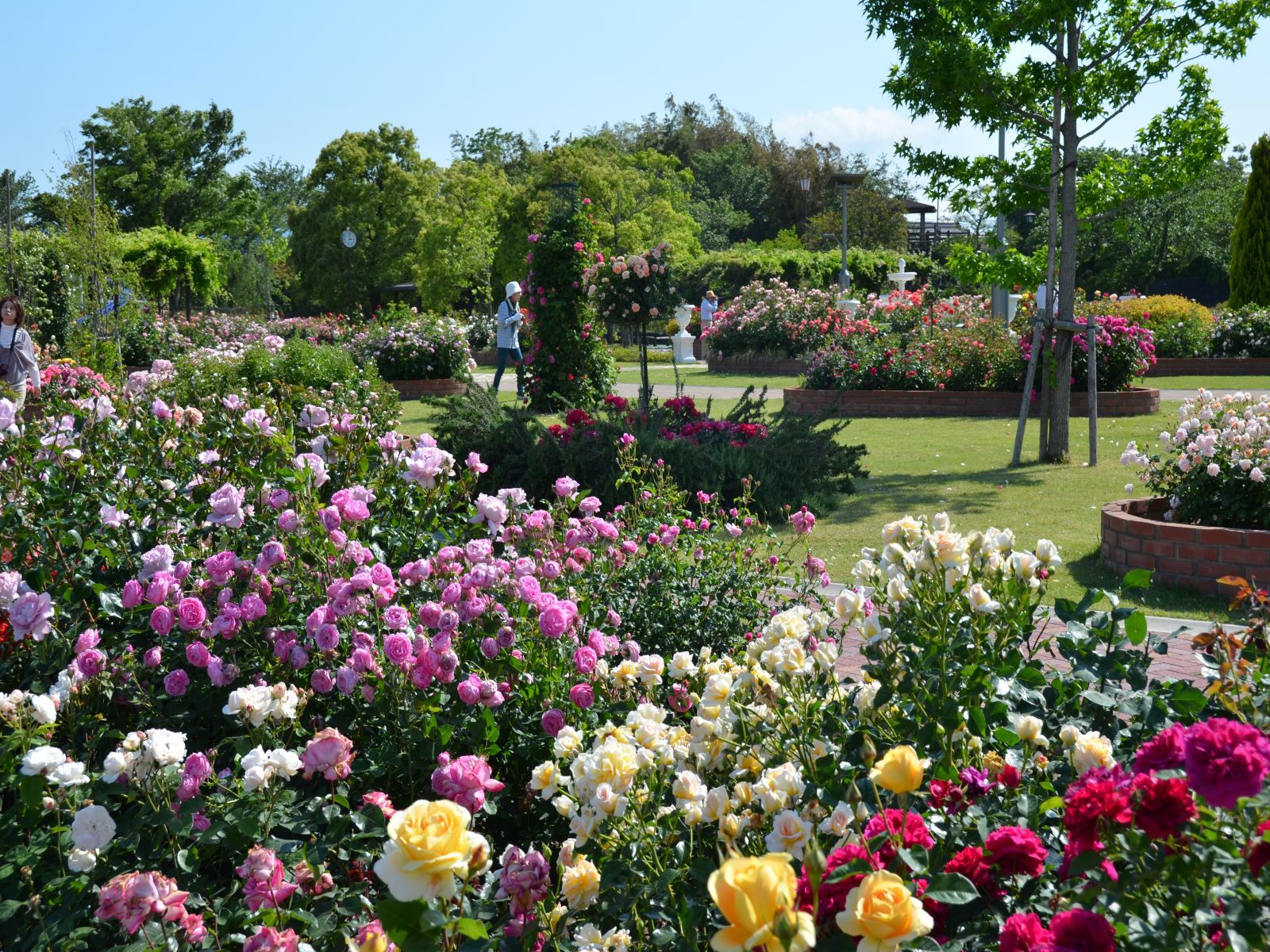 ばら公園いこいの広場