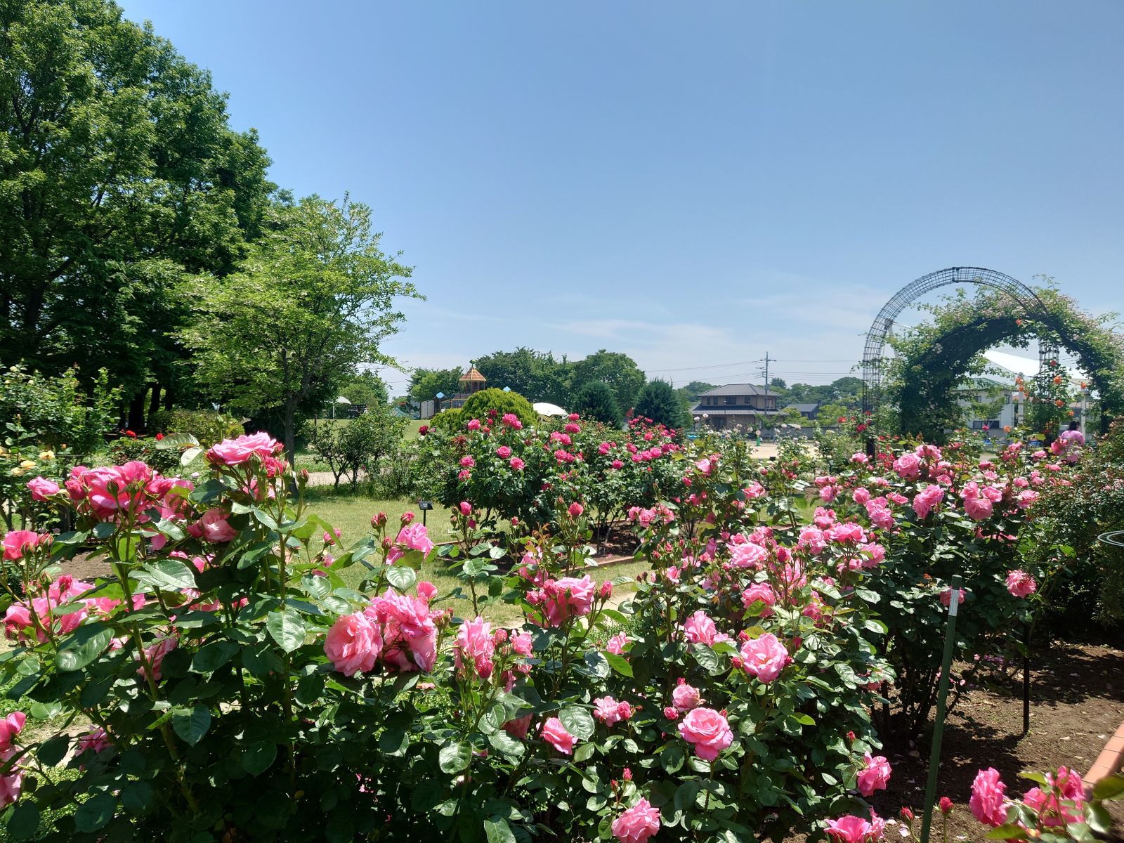 玉村町北部公園