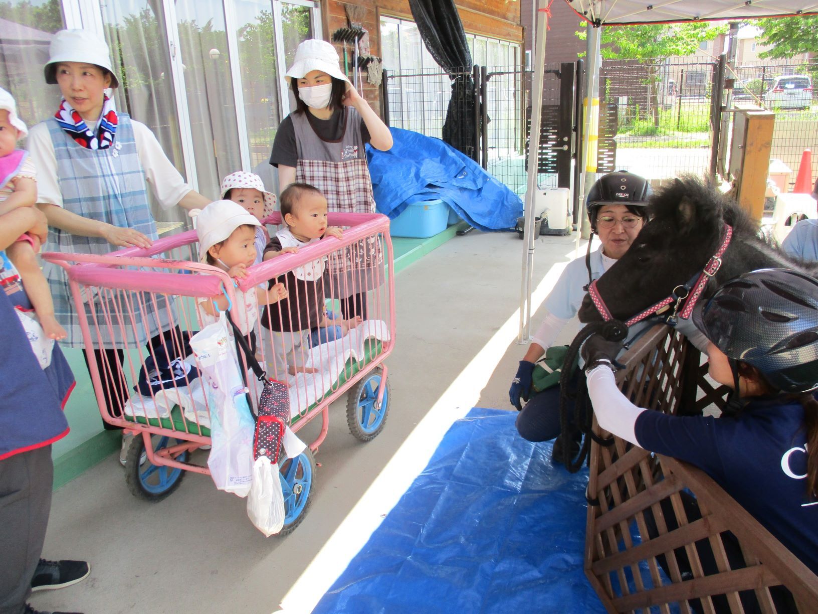 子どもが馬を見ている