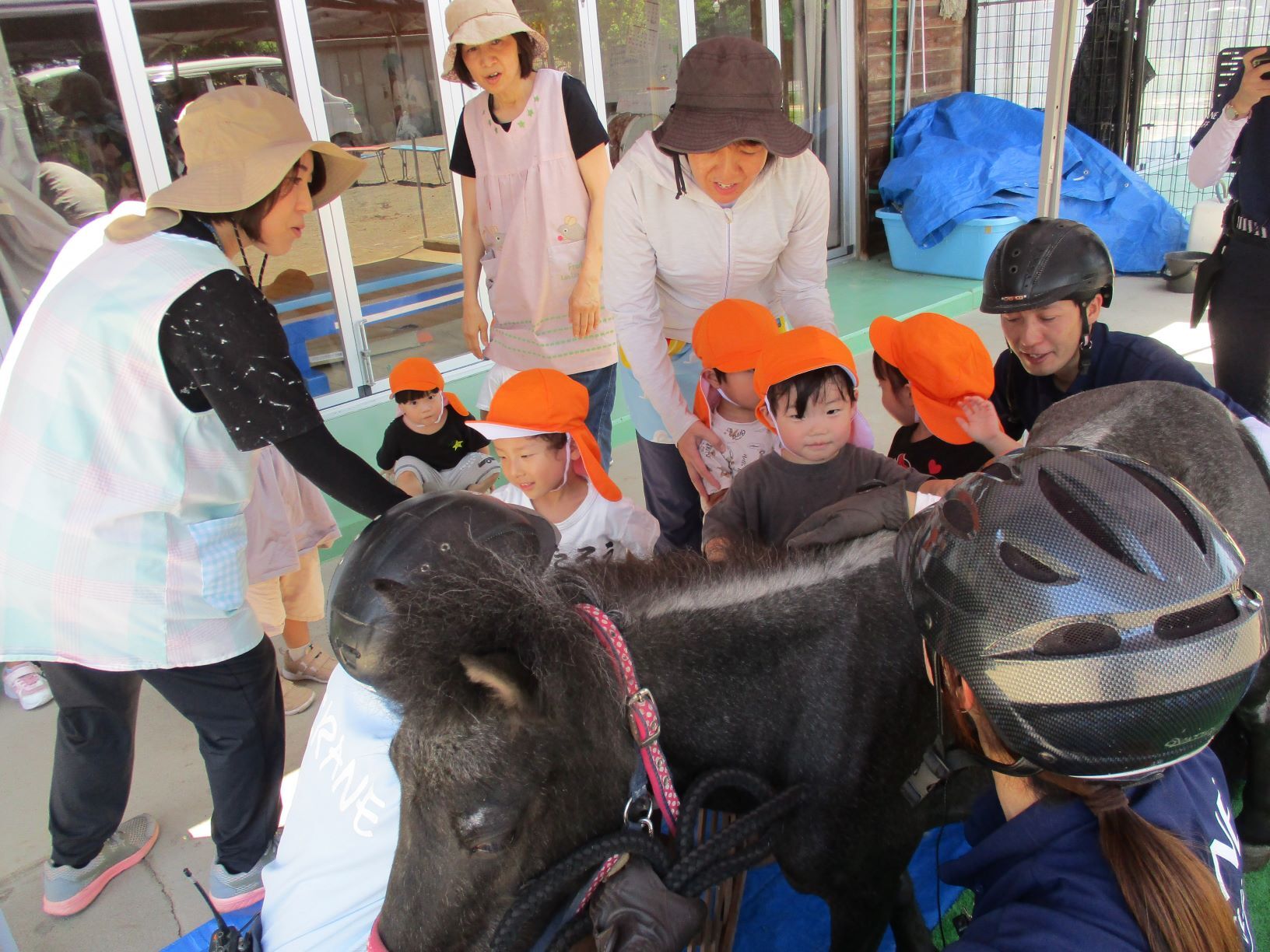 子どもが馬に触れている