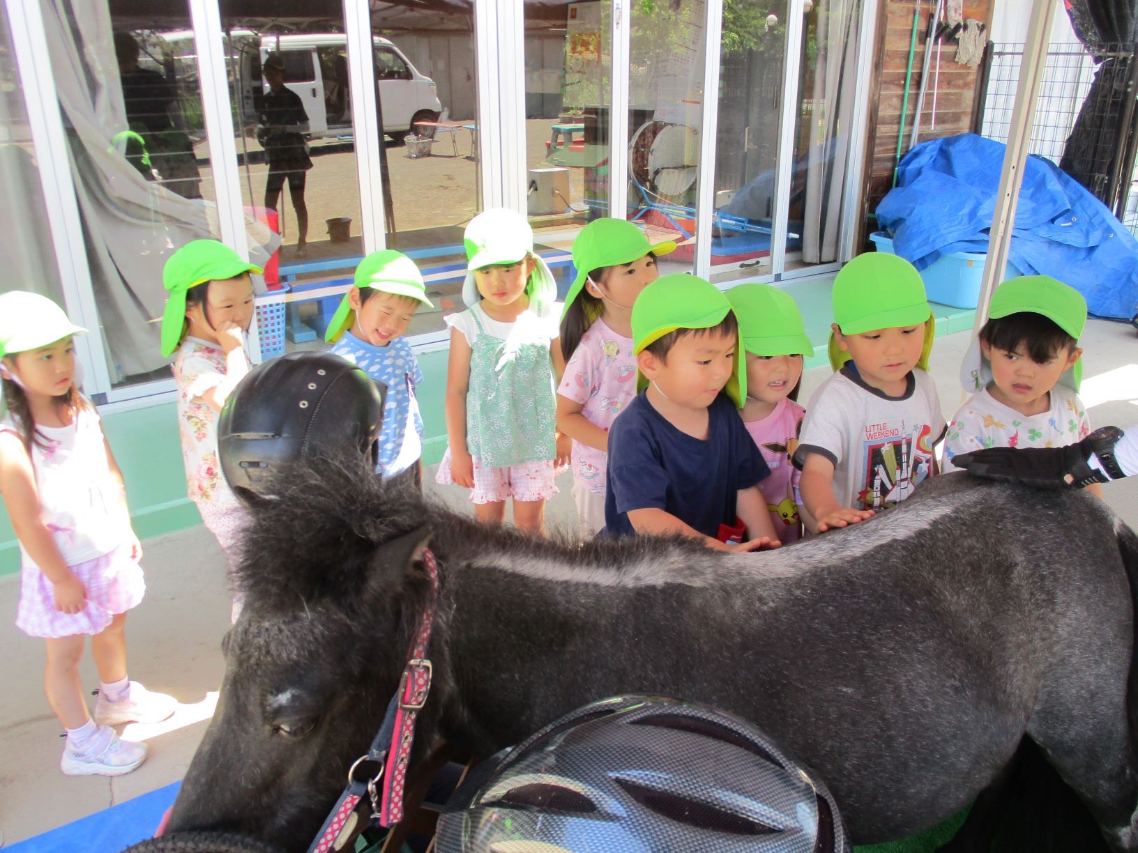 子どもたちが馬に触れている