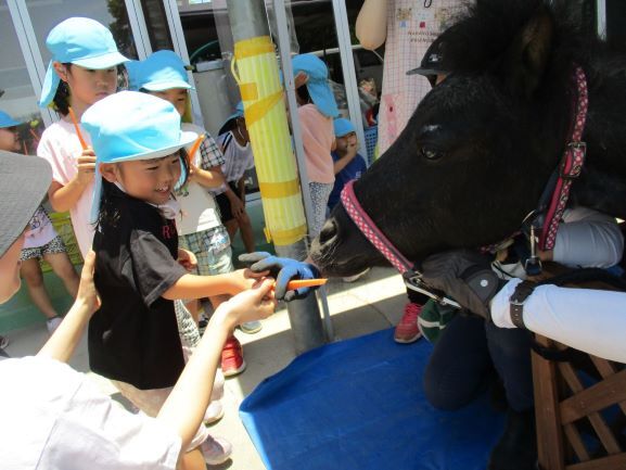 子どもが馬に人参をあげている