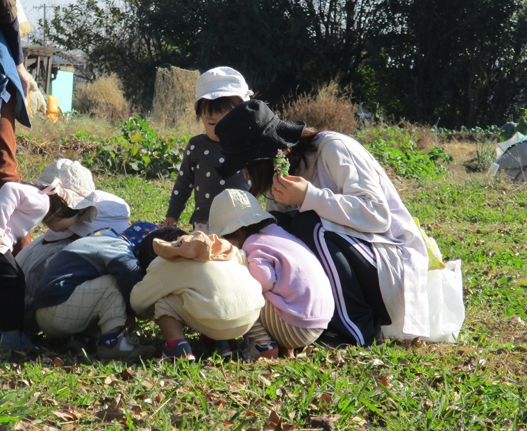 子どもたちが地面を歩く蟻をしゃがんで見ている