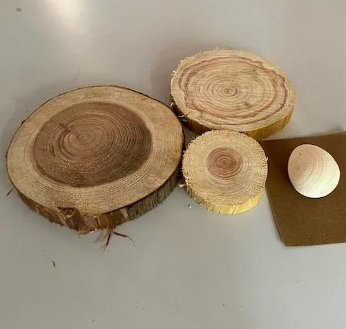 環境教育で作成した木材コースター （令和6年度の作品）