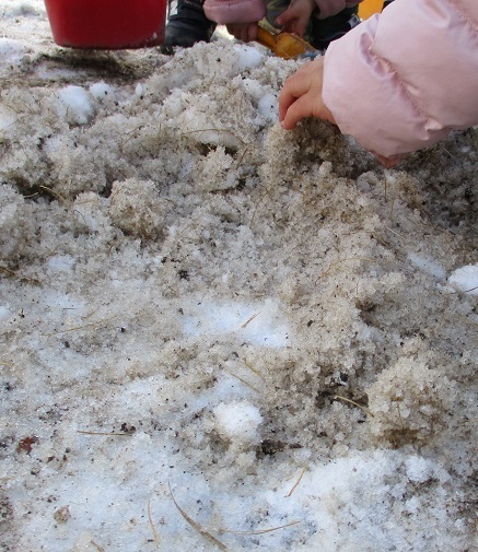 雪を集めて山を作っている。