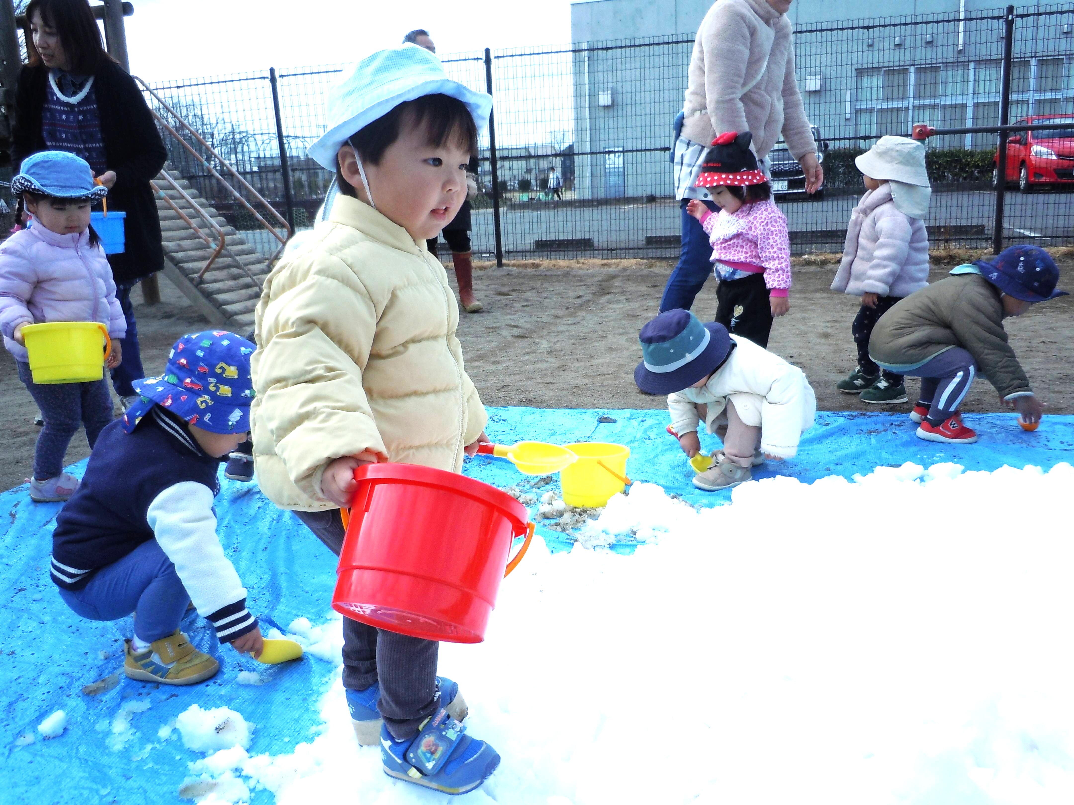 1歳児の子どもたちが目を輝かせて雪を眺め、遊んでいる