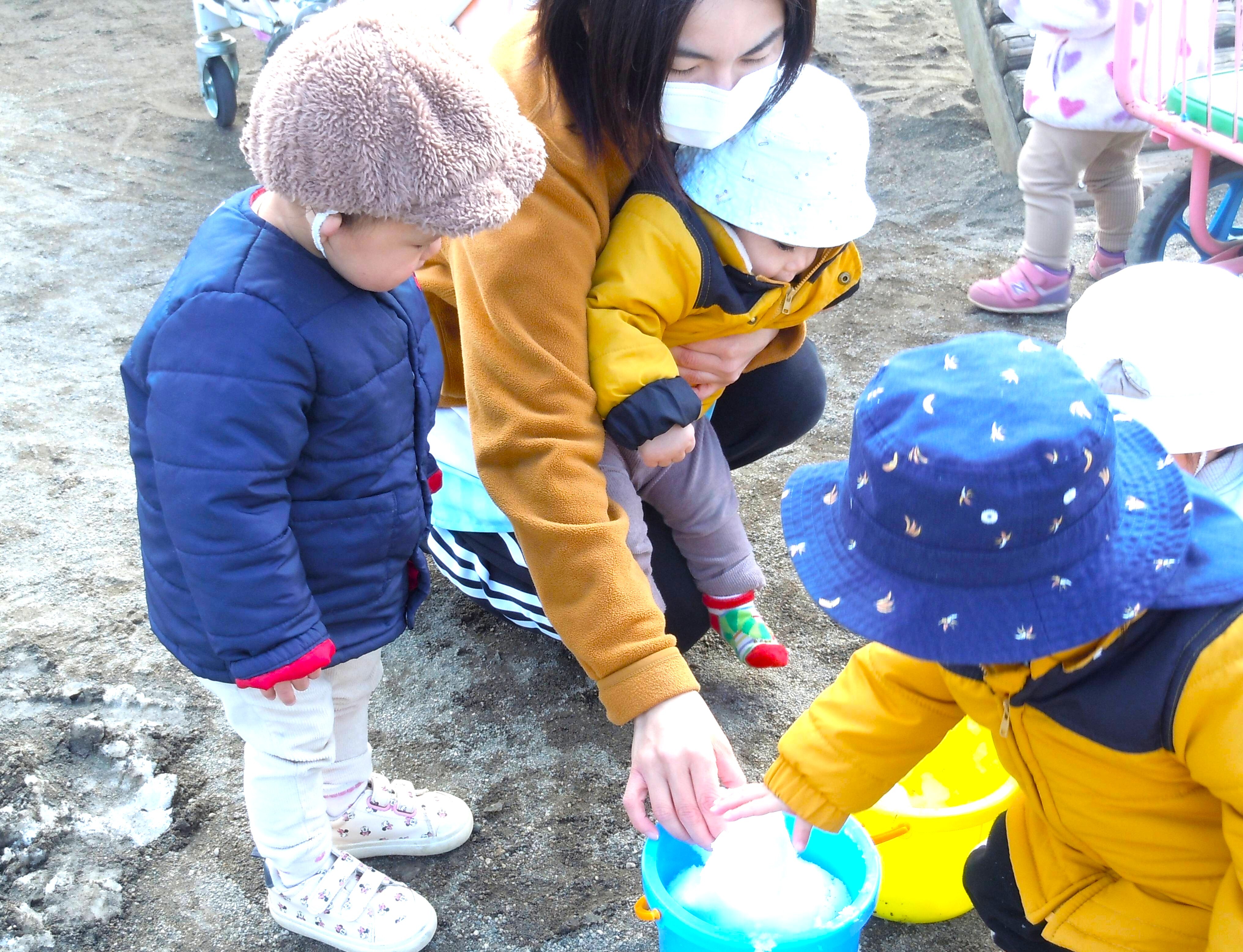 0歳児数名が担任と一緒にバケツに入った雪に触れている。