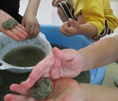 子どもたちが色水を作ったお花紙をざるでこし、手で丸めて団子を作る。