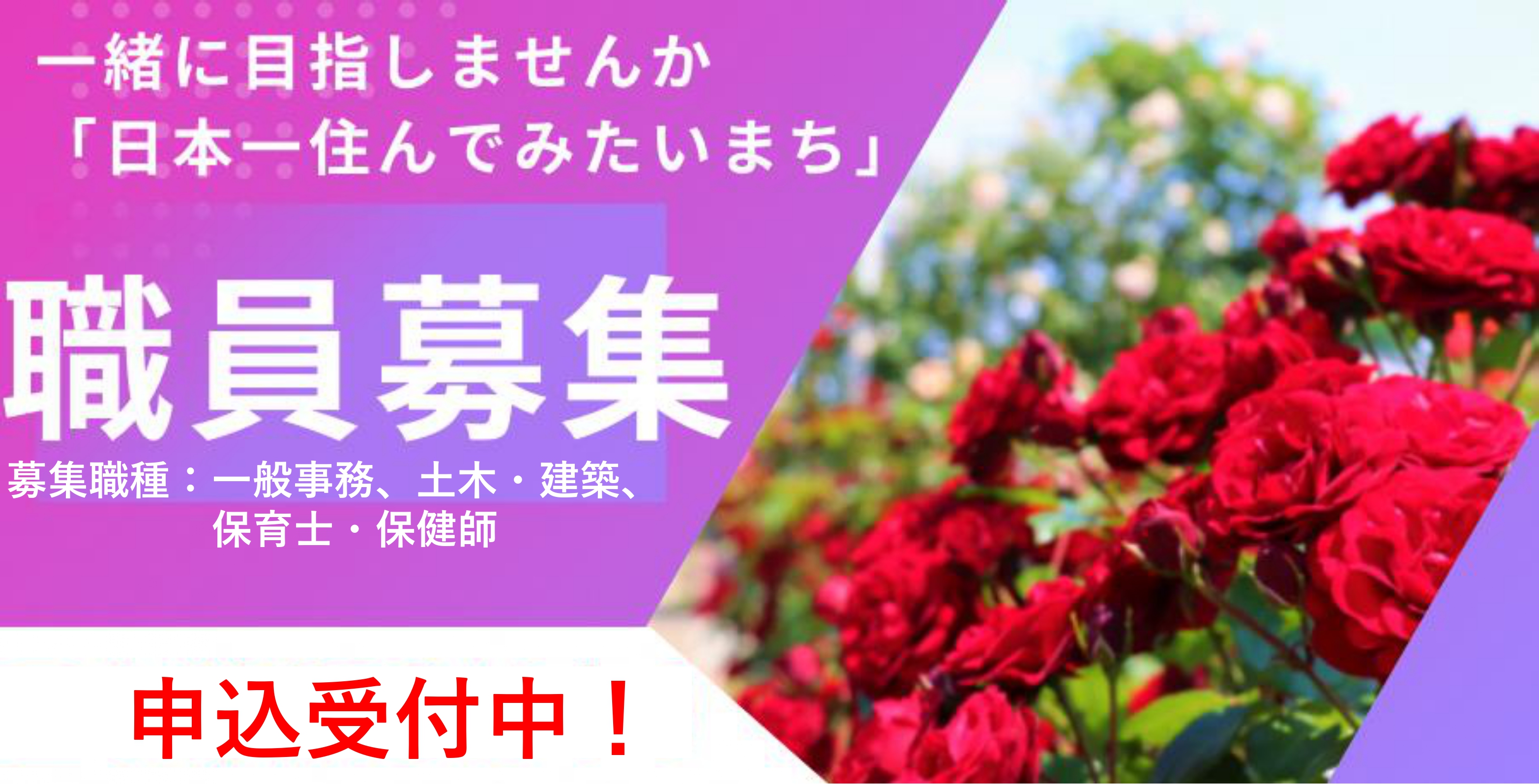 職員採用試験を実施します